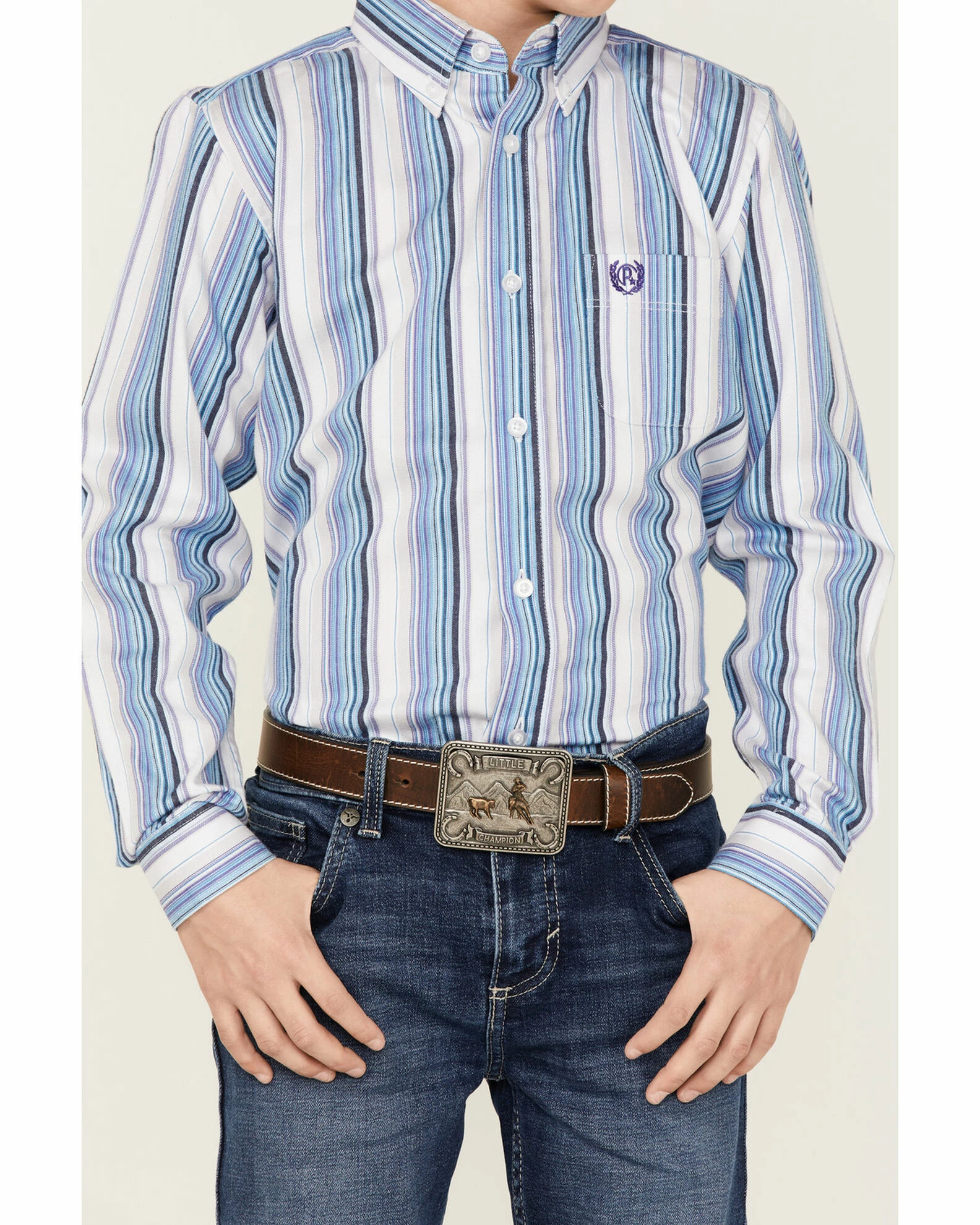 Panhandle Boys' Stripe Long Sleeve Button-Down Shirt Light Blue 5 Panhandle Boys' Stripe Long Sleeve Button-Down Shirt Light Blue - Image 3
